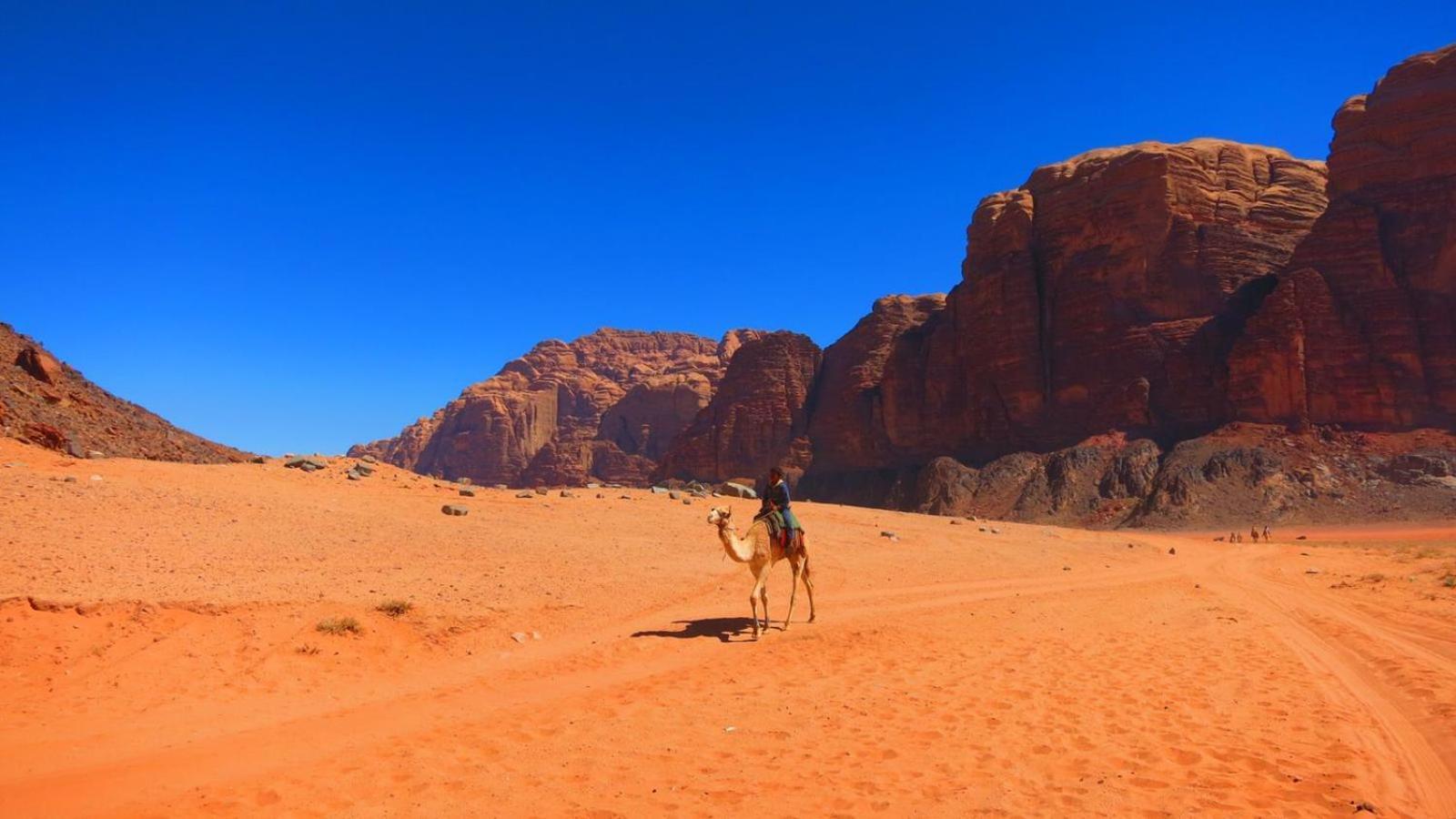 Wadi Rum Magic Nature Camp Eksteriør bilde