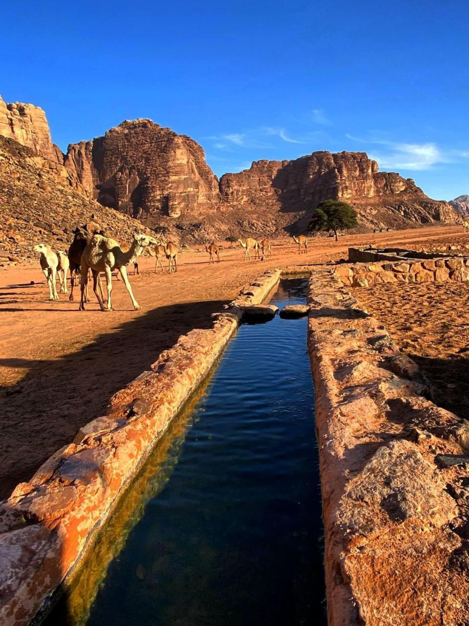 Wadi Rum Magic Nature Camp Eksteriør bilde